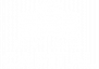 Next Level Capital